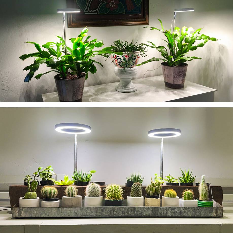 grow light for prayer plant ThriveBeam Grow Light