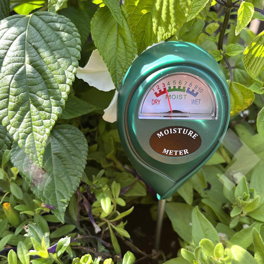 Thrive Meter - Gardeners' Secret to Thriving Plants