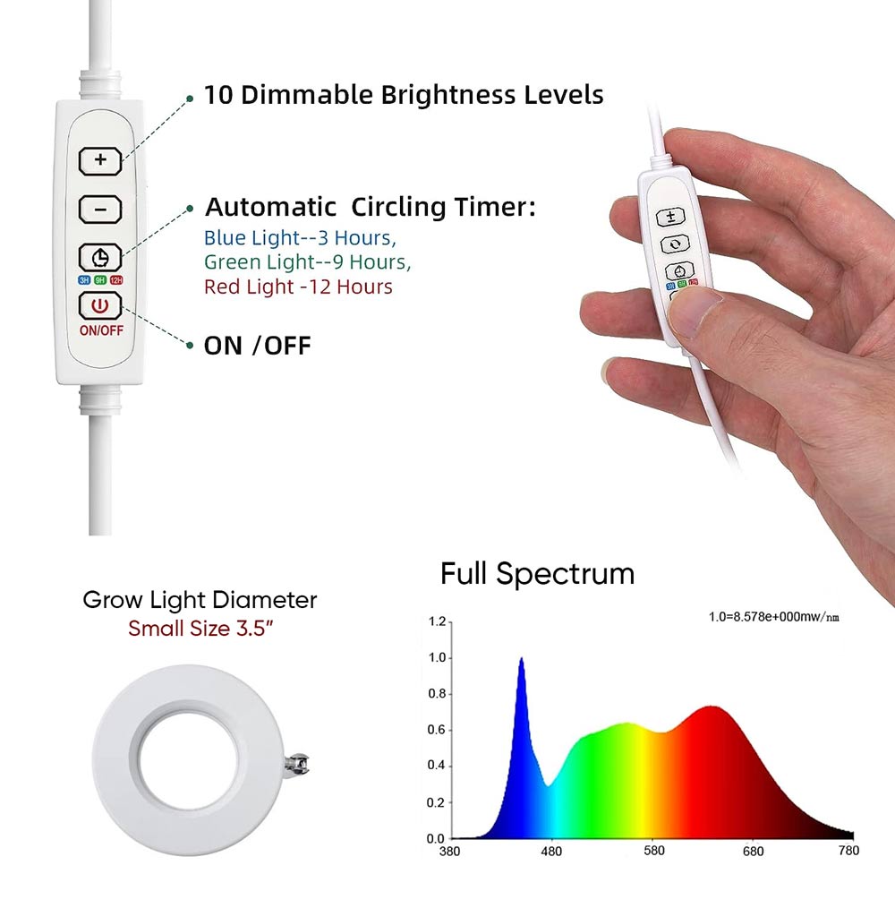 ThriveBeam • Plants' Own Little Sun