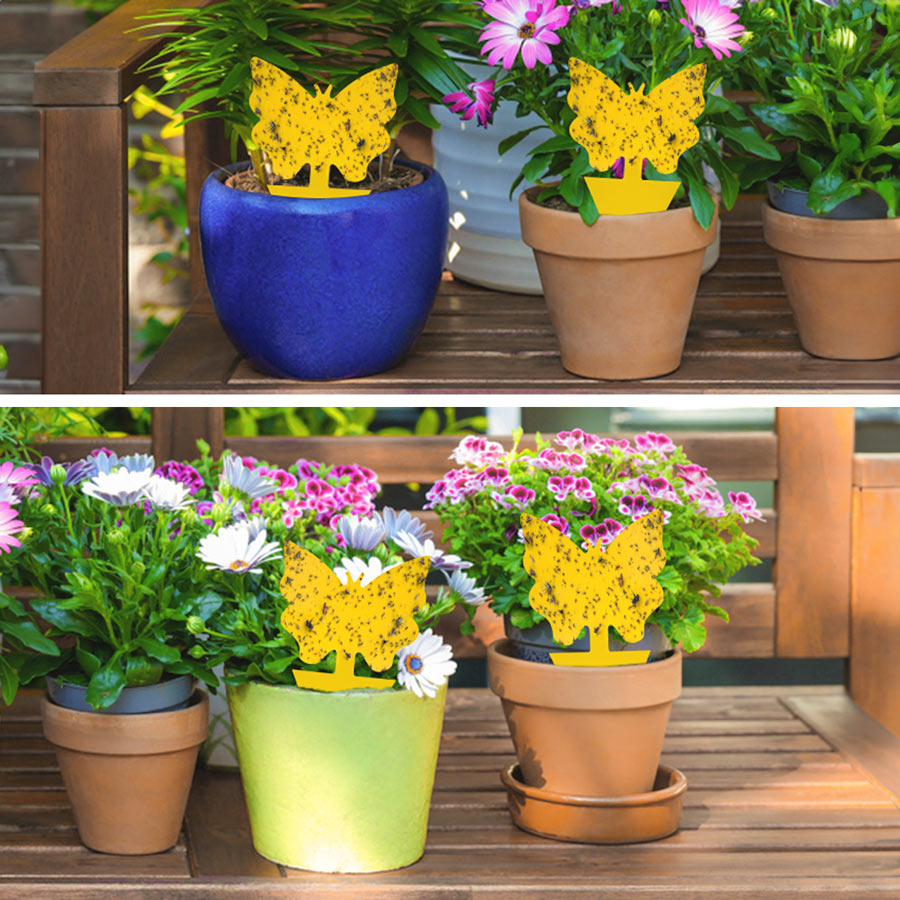 Sticky Insect Traps - Eco-Friendly Pest Control for Indoor & Outdoor Plants
