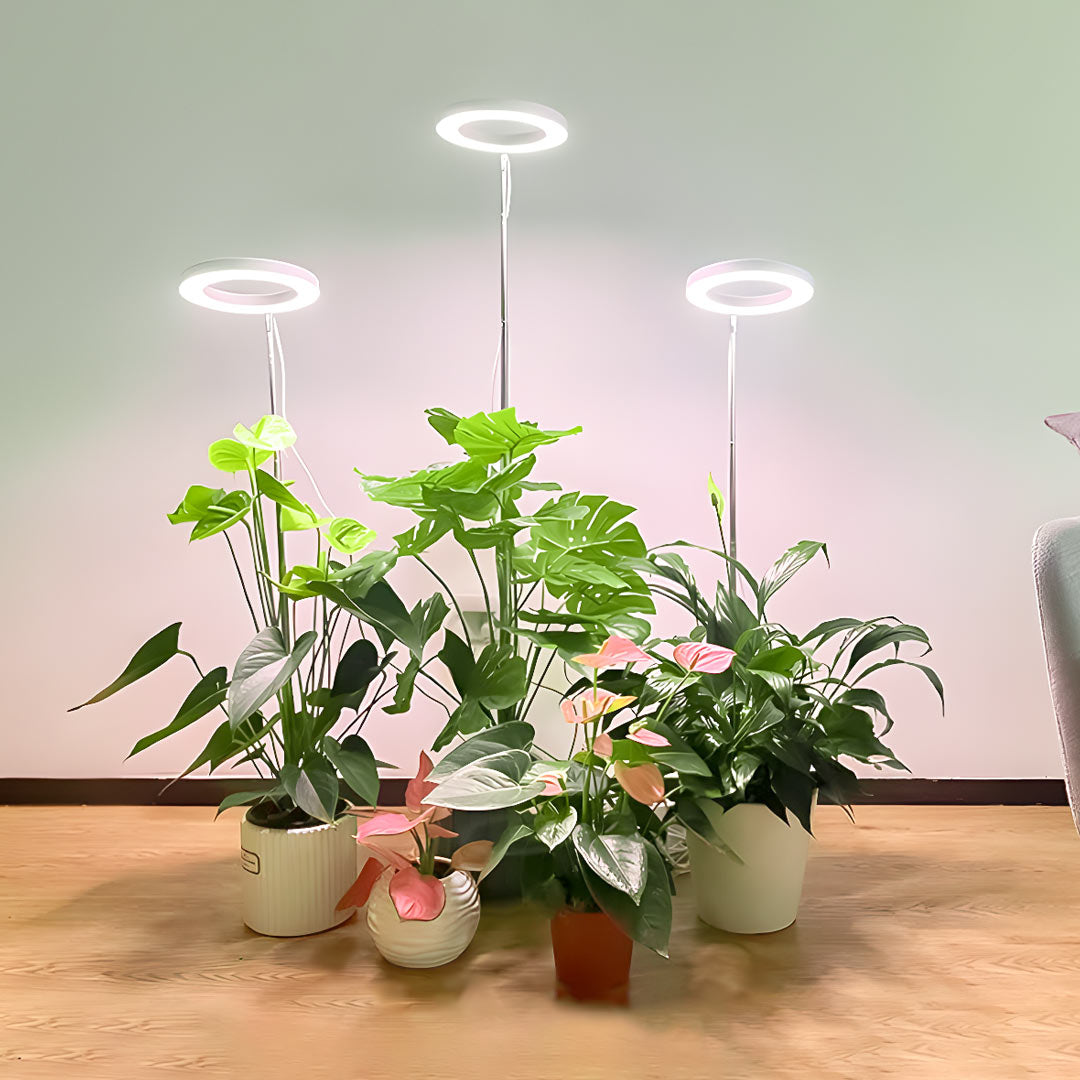 grow light for single plant ThriveBeam Grow Light