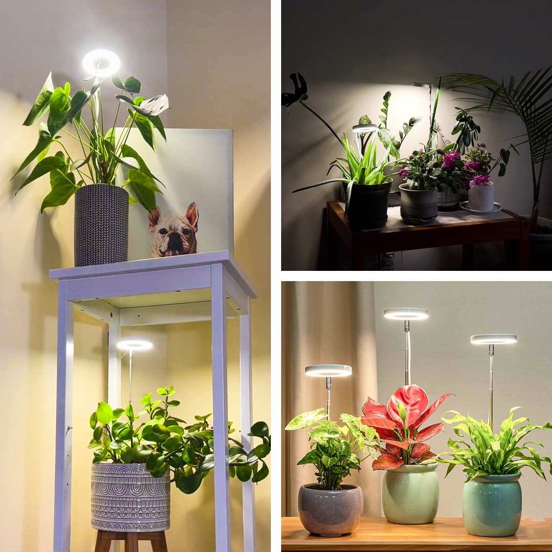 benji plant grow light ThriveBeam Grow Light