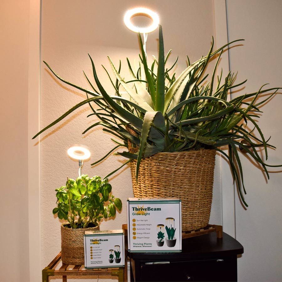 benji plant grow light ThriveBeam Grow Light